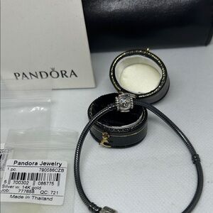 Pandora oxidized Silver Bracelet with 2T 14K Gold & Sterling Charm